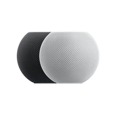 Акустика Apple HomePod mini Space Gray (MY5G2)