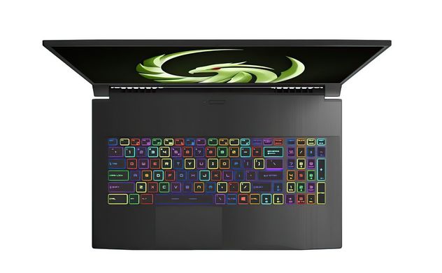 Ноутбук MSI Bravo (A4DDK-091XUA)