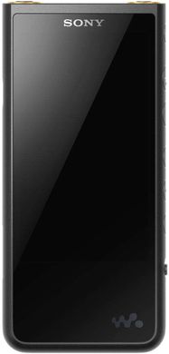 Музыкальный плеер Sony Walkman NW-ZX507 Black