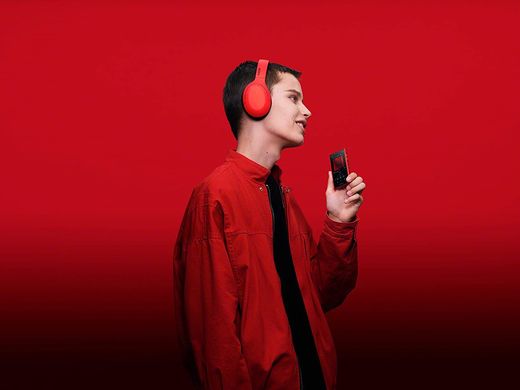 Музыкальный плеер Sony Walkman NW-A105 Red