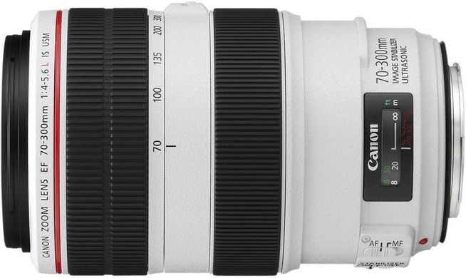 Объектив Canon EF 70-300 mm f/4-5.6L IS USM (4426B005)