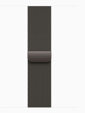 Apple Watch Series 10 GPS + LTE, 42mm Slate Titanium Case with Slate Milanese Loop (MX053)