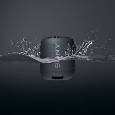 Беспроводная колонка Sony SRS-XB12 Black