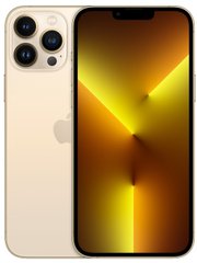 Смартфон Apple iPhone 13 Pro Max 256GB Gold (MLLD3)