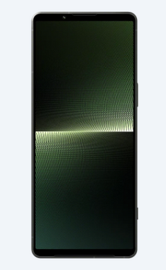 Смартфон Sony Xperia 1 V 12/512Gb Khaki Green