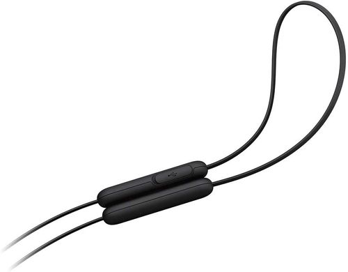 Беспроводные наушники-вкладыши Sony WI-C310, Black