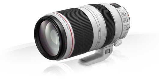 Объектив Canon EF 100-400 mm f/4.5-5.6L IS II USM (9524B005)