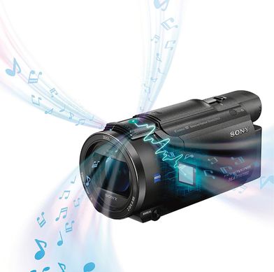 Видеокамера Sony FDR-AX53 Black (FDRAX53B.CEL)
