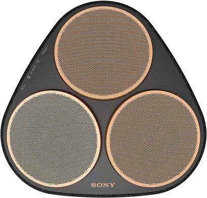 Колонка Sony SRS-RA5000