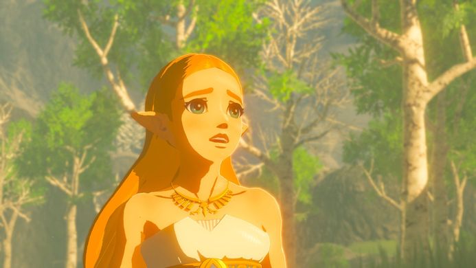 Игра The Legend of Zelda: Breath of the Wild (Nintendo Switch, Русская версия)