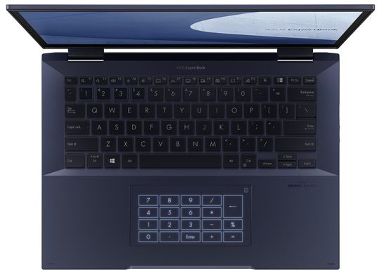 Ноутбук ASUS PRO B7402FEA-LA0036R (90NX0481-M00370)