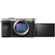 Фотоапарат Sony Alpha A7C II Body Silver (ILCE7CM2S.CEC)