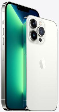 Смартфон Apple iPhone 13 Pro Max 1TB Silver (MLLL3)