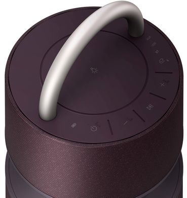 Портативная акустика LG XBOOM 360 RP4 Burgundy (RP4.DCISLLK)
