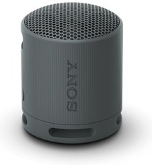 Беспроводная колонка Sony SRS-XB100, цвет черный
