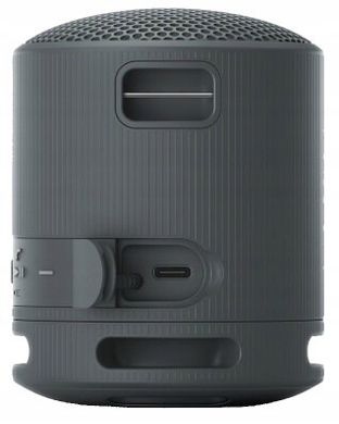 Беспроводная колонка Sony SRS-XB100, цвет Black