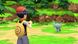 Игра Pokemon Brilliant Diamond (Nintendo Switch, Английский язык)