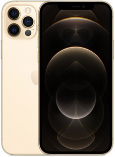 Смартфон Apple iPhone 12 Pro 256GB Gold (MGMR3)