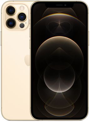 Смартфон Apple iPhone 12 Pro 256GB Gold (MGMR3)