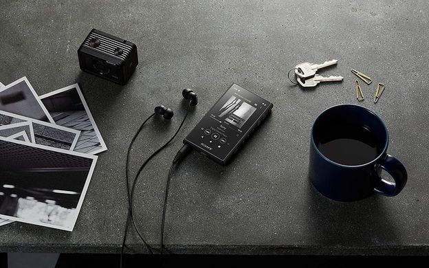 Музыкальный плеер Sony Walkman NW-A105HN Black